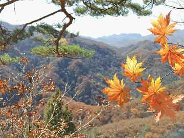 中山气温变化与方绮雯关注度，正反两面观点深度剖析
