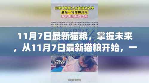 励志猫步人生，从掌握最新猫粮开始启程的猫咪成长之旅