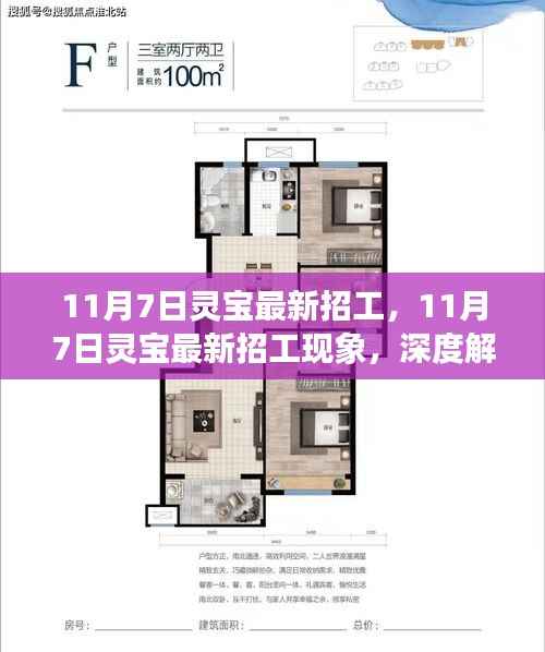 11月7日灵宝最新招工现象深度解析与观点阐述