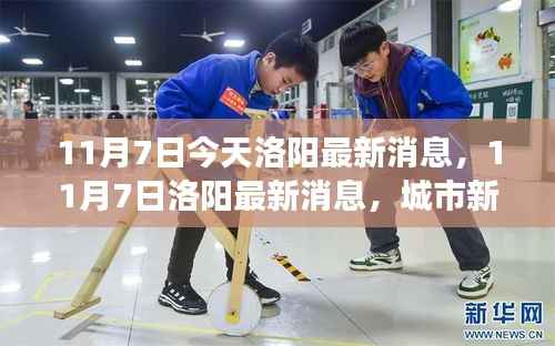 11月7日洛阳城市新动态与发展亮点最新消息