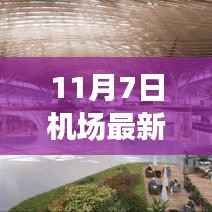 容光焕发 第11页