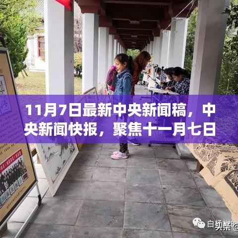 中央新闻快报聚焦,十一月七日政策动向与热点解读