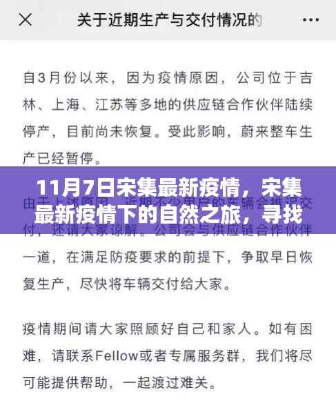 宋集最新疫情下的自然探索,内心宁静与欢笑的寻找之旅