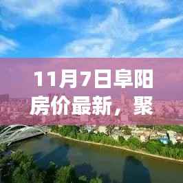 11月7日阜阳房价最新动态及趋势展望