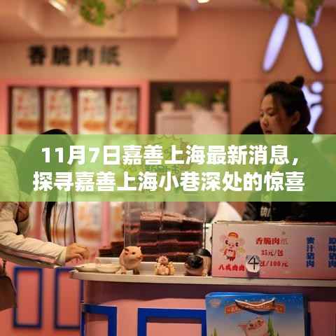 探寻嘉善上海小巷深处的惊喜,11月7日最新特色小店揭秘