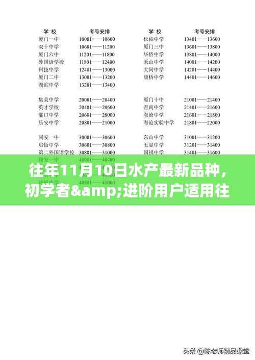 最新水产品种探索,从初学者到进阶用户的指南,历年11月与年初品种知识全解析