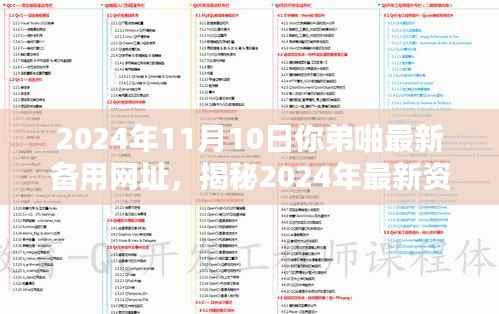 揭秘2024年非法资源分享网站新入口,警惕违法犯罪行为风险警告!