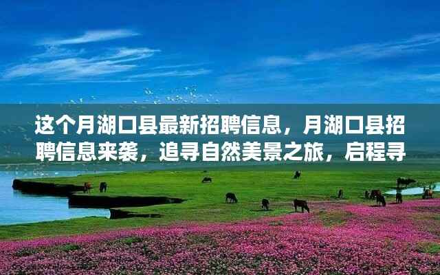 眉开眼笑 第8页