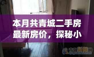 本月共青城二手房最新房价揭秘,小巷深处的宝藏与独特小店的故事