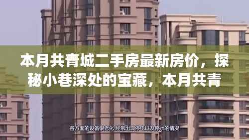本月共青城二手房最新房价揭秘,小巷深处的宝藏与独特小店的故事
