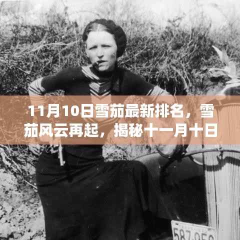 揭秘全球雪茄风云变幻,最新排名背后的故事(十一月十日版)