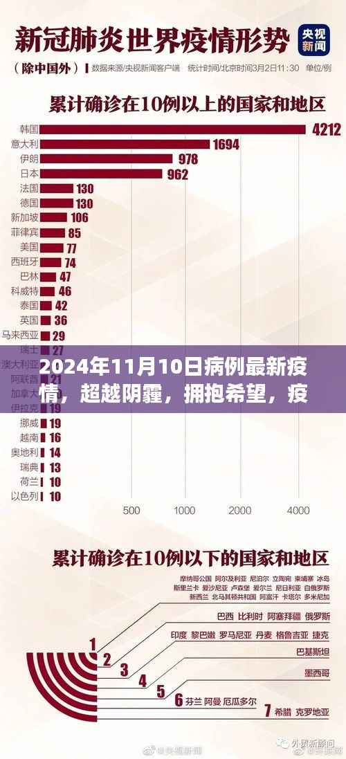 疫情阴霾下的希望之光,励志故事与未来展望——2024年11月病例最新疫情报告