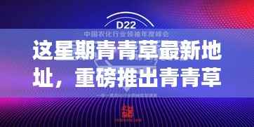 青青草最新科技绿洲,体验前沿功能,领略生活瞬间升级的魅力