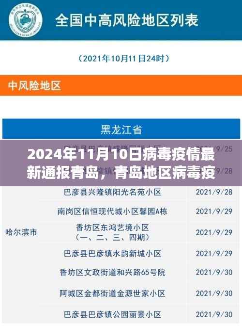 青岛地区病毒疫情最新通报评测报告(截至2024年11月10日)