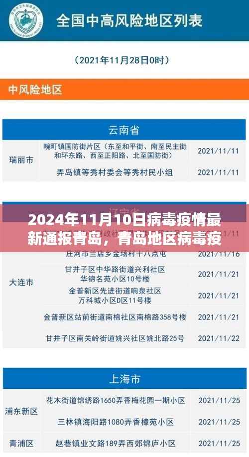 青岛地区病毒疫情最新通报评测报告(截至2024年11月10日)