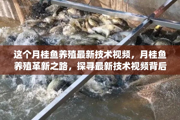 admin 第9页