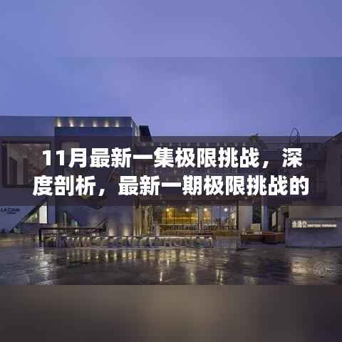 最新一期极限挑战深度剖析,多元视角与独特体验