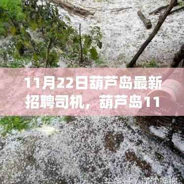 浅笑轻吟梦一曲 第5页