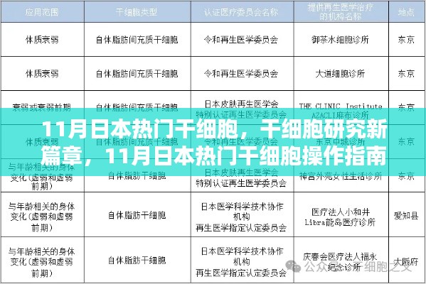 风驰电掣 第5页