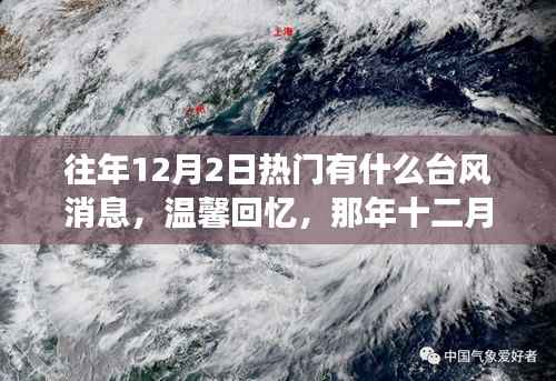 目不转睛 第3页