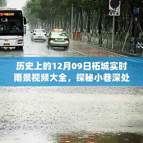 柘城雨景探秘,隐秘美食胜地与实时雨景视频集锦(12月9日)