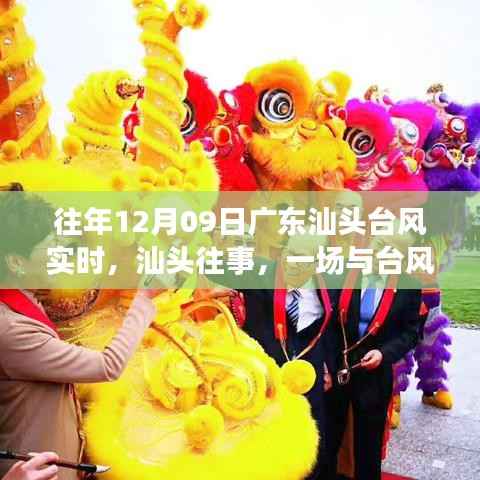 广东汕头往事,台风中的温情日常与勇敢共舞