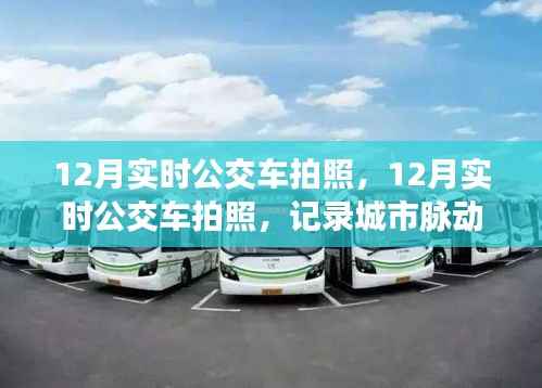 12月实时公交车拍照,记录城市脉动的新风尚