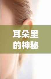 耳朵里的神秘线条,揭秘不断现象的背后真相