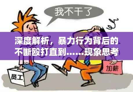 深度解析,暴力行为背后的不断殴打直到……现象思考