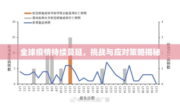 全球疫情持续蔓延,挑战与应对策略揭秘