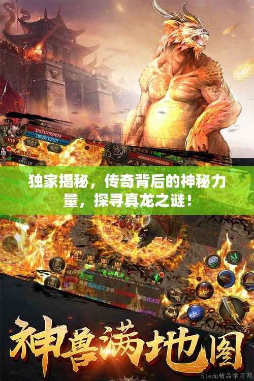 独家揭秘，传奇背后的神秘力量，探寻真龙之谜！