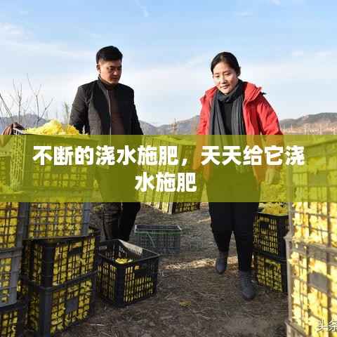 不断的浇水施肥，天天给它浇水施肥 