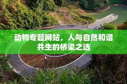 动物专题网站，人与自然和谐共生的桥梁之选