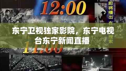 东宁卫视独家影院，东宁电视台东宁新闻直播 