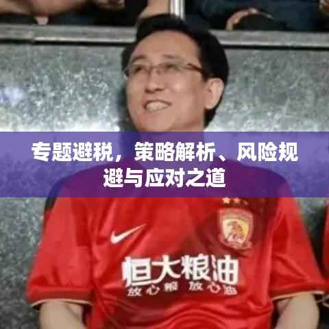 专题避税，策略解析、风险规避与应对之道