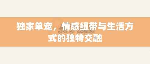 独家单宠,情感纽带与生活方式的独特交融