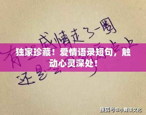独家珍藏！爱情语录短句，触动心灵深处！