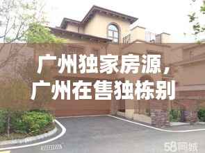 广州独家房源，广州在售独栋别墅 