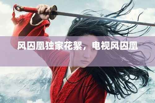 风囚凰独家花絮，电视风囚凰 