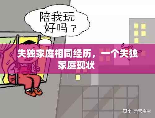 失独家庭相同经历,一个失独家庭现状
