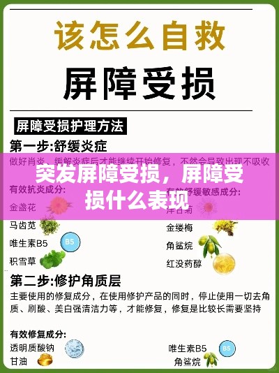 天荒地老 第2页