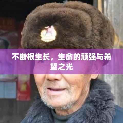 不断根生长,生命的顽强与希望之光