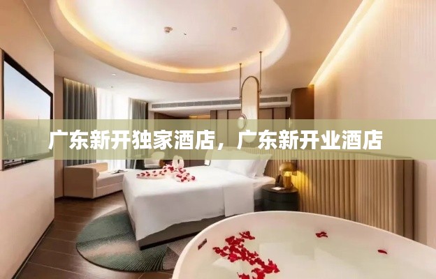广东新开独家酒店,广东新开业酒店