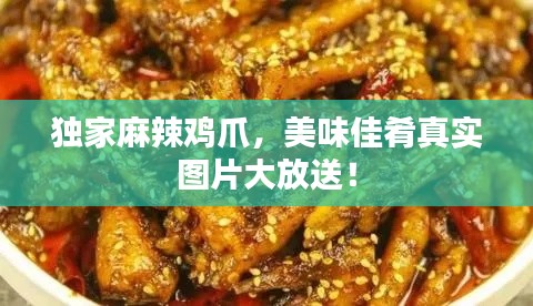 独家麻辣鸡爪，美味佳肴真实图片大放送！