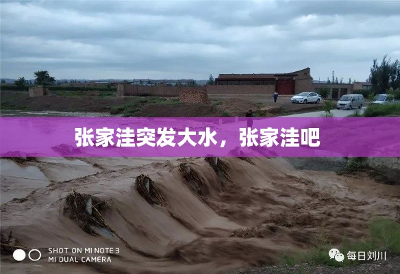 张家洼突发大水,张家洼吧
