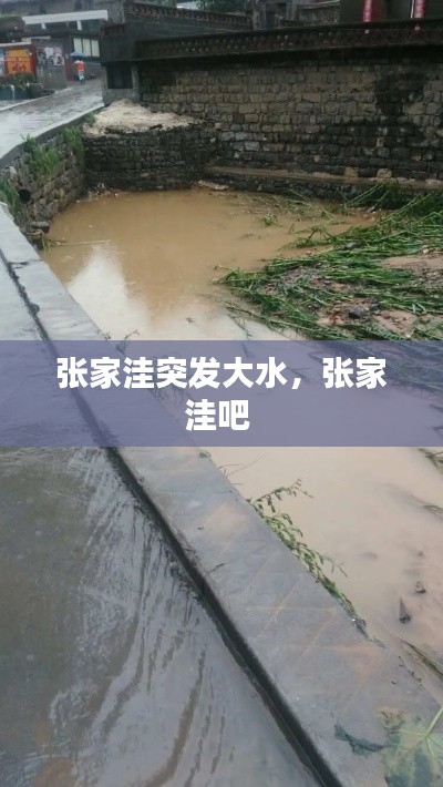 张家洼突发大水,张家洼吧