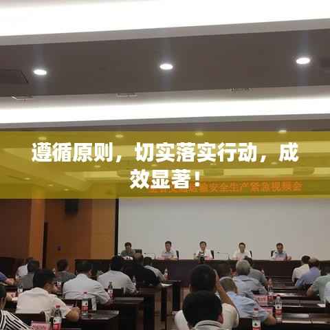遵循原则，切实落实行动，成效显著！
