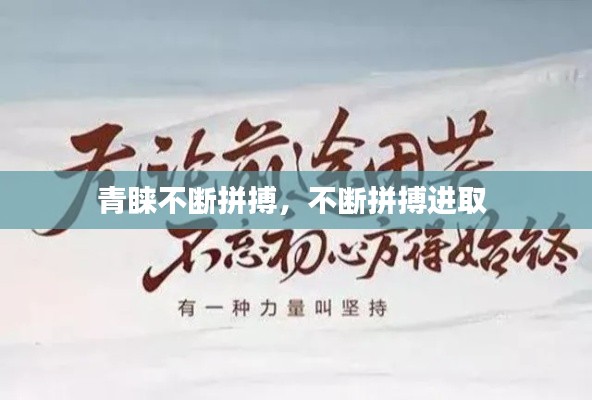 青睐不断拼搏,不断拼搏进取