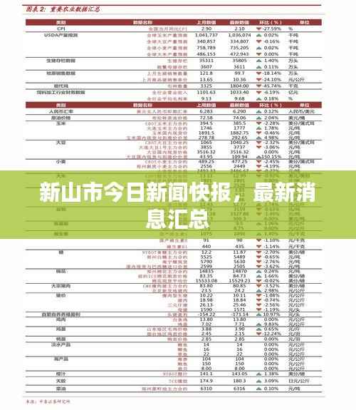 新山市今日新闻快报，最新消息汇总