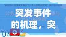 突发事件的机理，突发事件的基本原则 